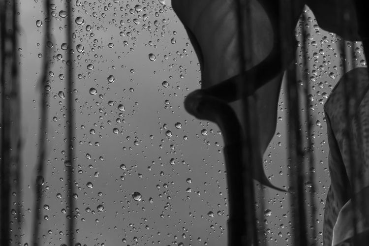 Close-up of wet glass window in rainy season