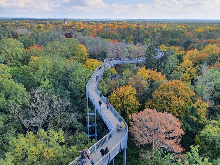 High angle view of train amidst trees during autumn