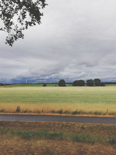 Scenic view of field against sky