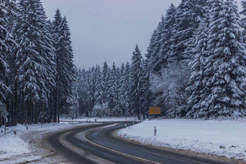 Snow covered road by trees against sky