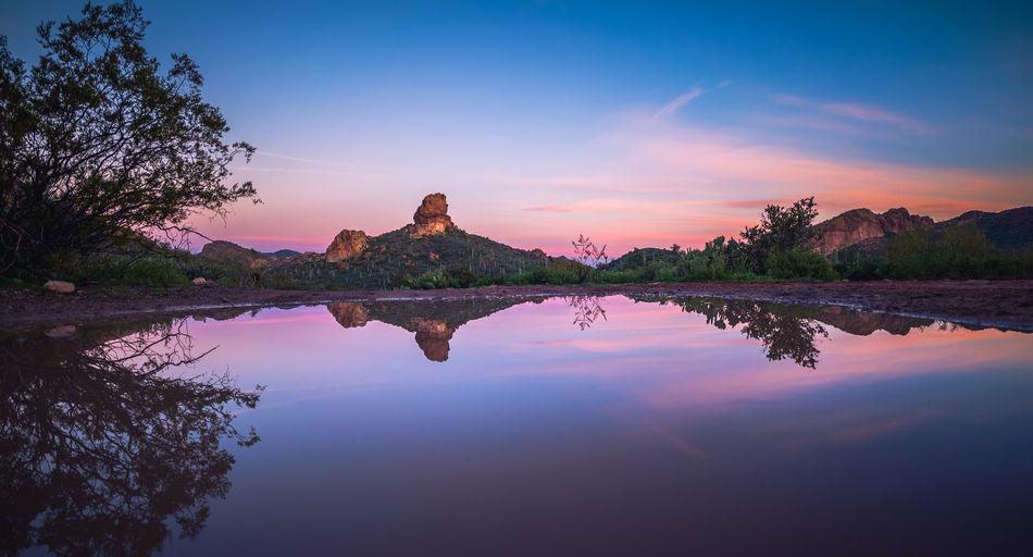 reflection