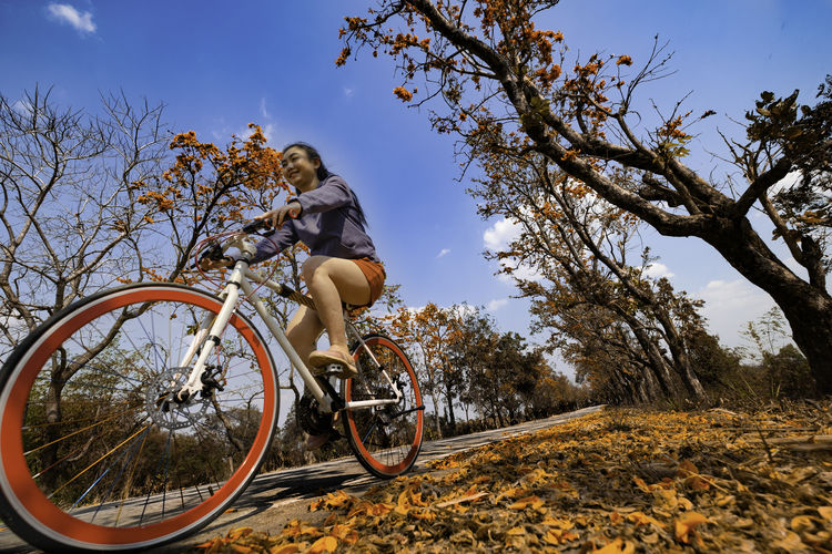 Low angle view of woman riding bicycle against trees