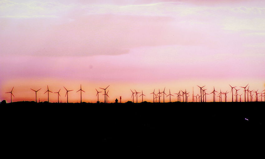 Silhouette of wind turbines in field