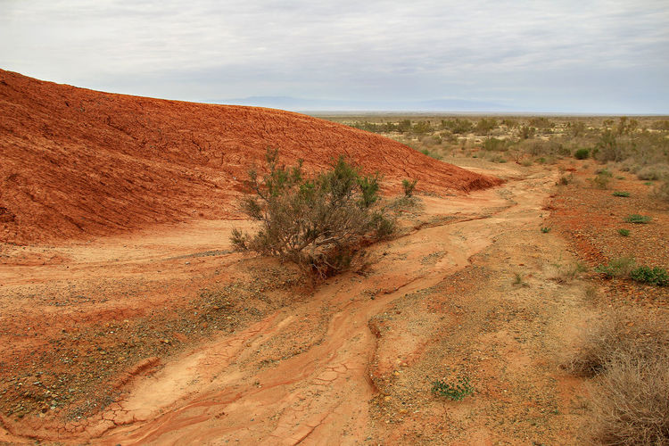 Red sandy-clay mountains with a green bush and steppe in the low plan in altyn-emel in summer