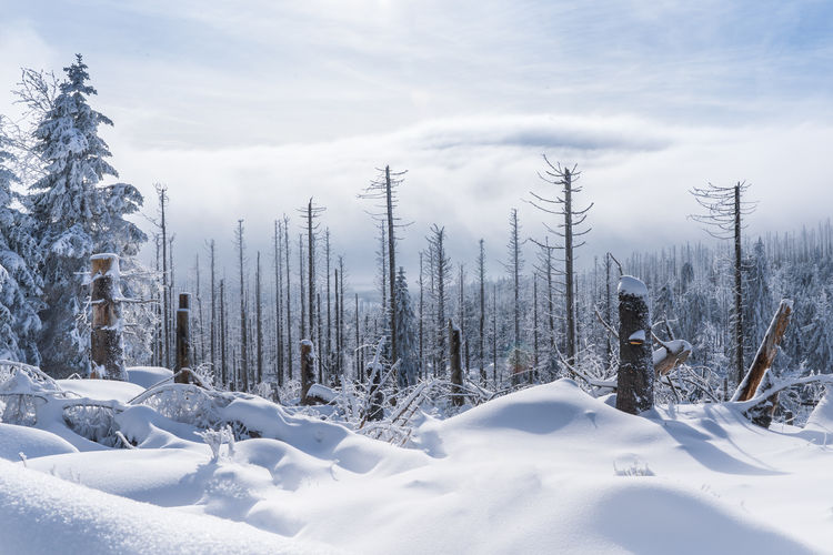 Snow covered landscape against sky
