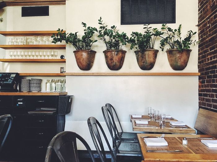 Empty chairs and tables with potted plants on wall at restaurant