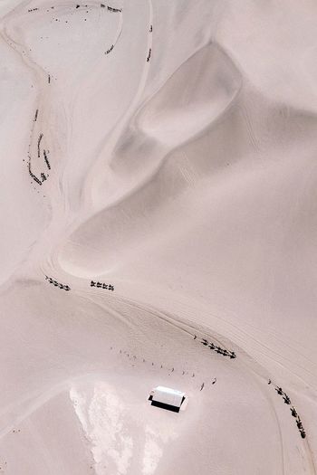 Aerial view of camel train on desert