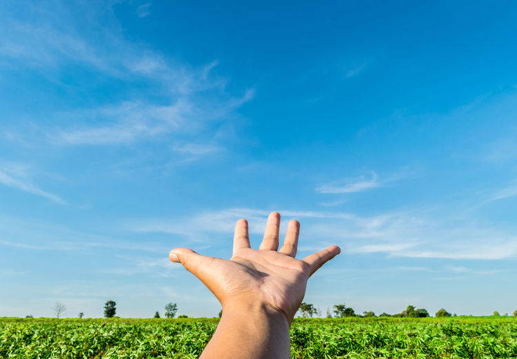 Cropped hand gesturing on field against blue sky