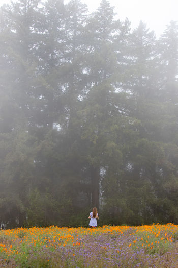 Woman walking on field by trees and plants