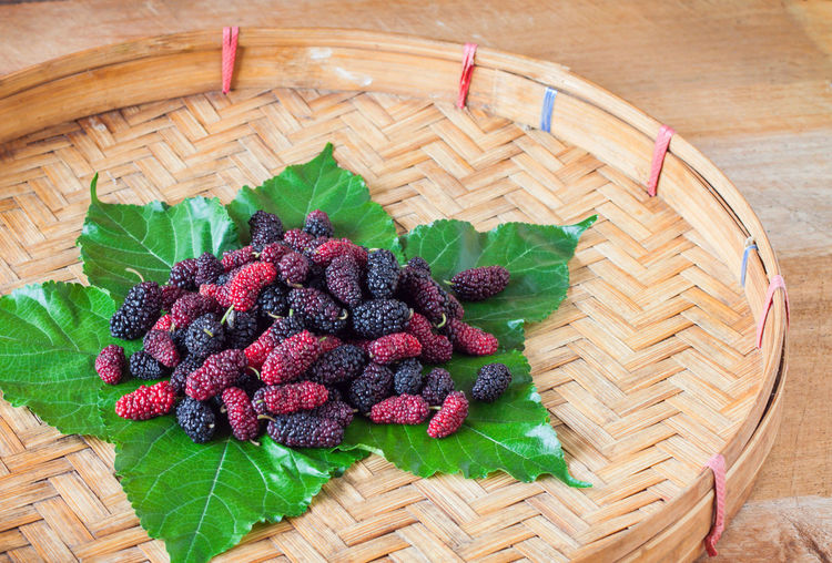 High angle view of mulberries on leaves in basket
