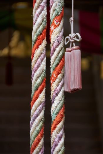 Close-up of tied hanging on rope