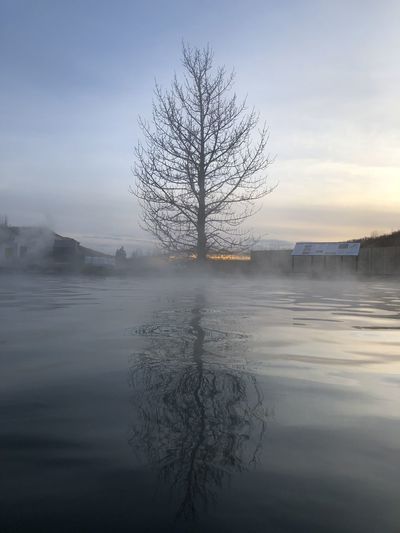 Bare tree by lake against sky during winter