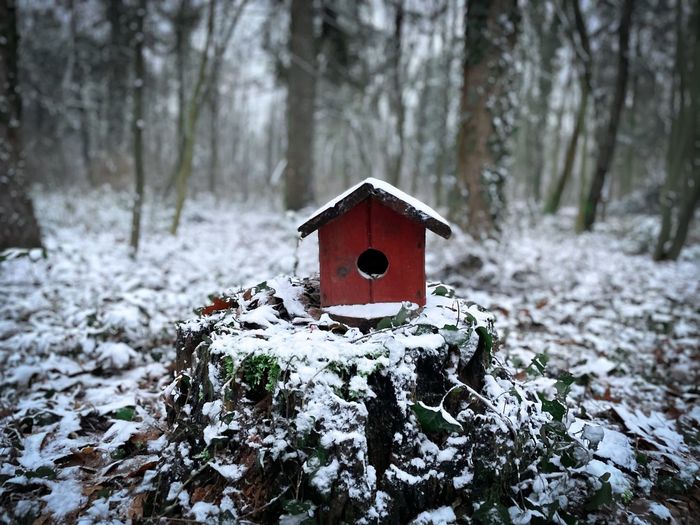 Wooden birdhouse in the forest during winter