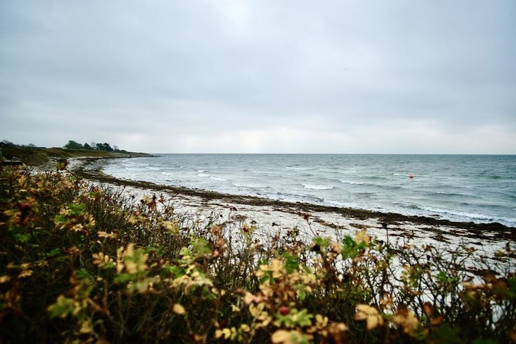 Scenic view of beach against sky