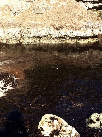 Close-up of reflection of rocks in calm lake