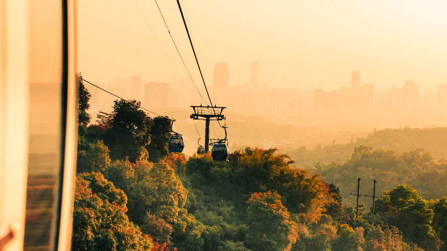Overhead cable car over trees during sunset