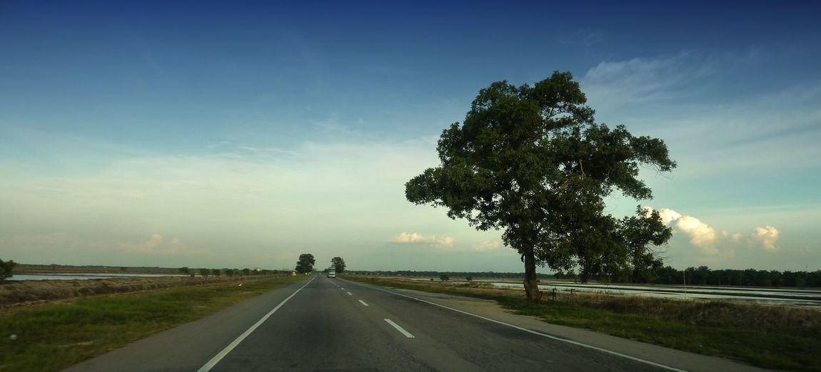 Road by trees against sky