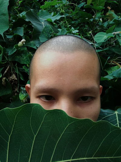 Close-up portrait of man face covered with leaf
