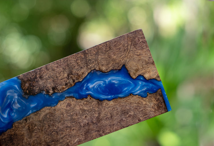 Close-up of blue paper on tree