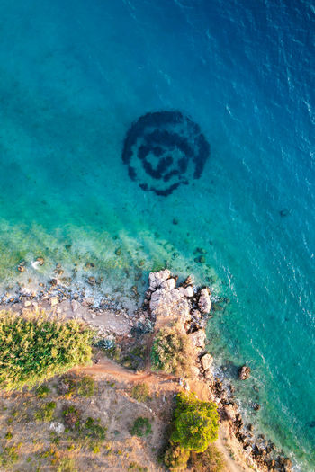 High angle view of reef in sea