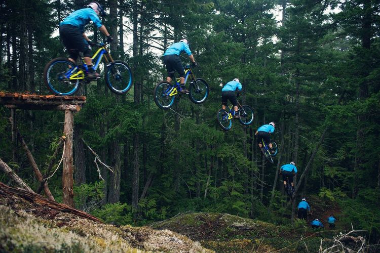 Bicycles parked on tree in forest
