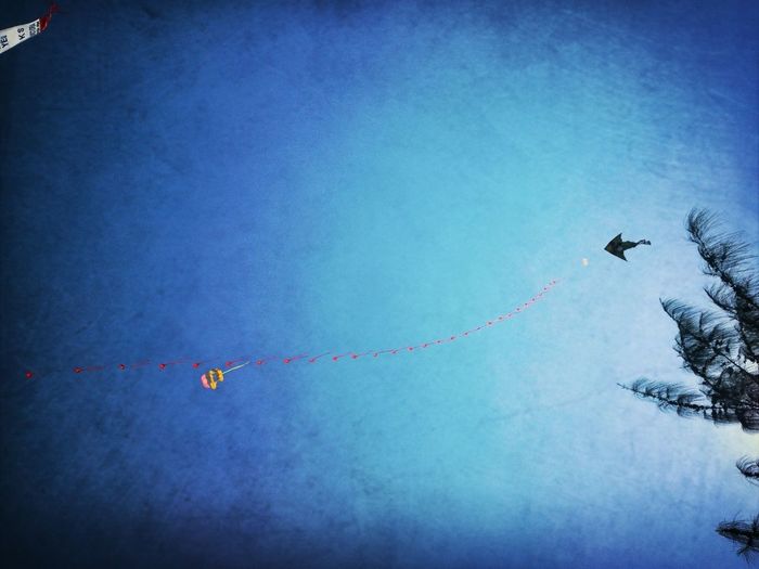 Low angle view of airplane flying in sky
