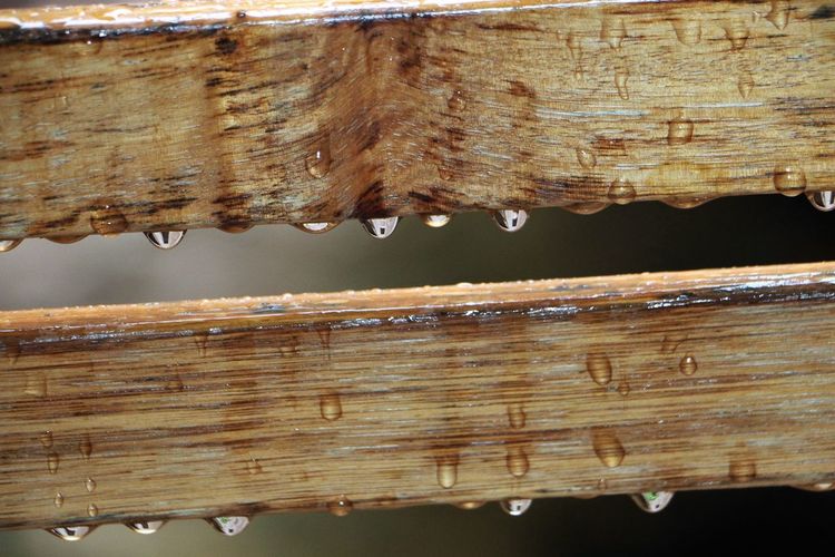 Close-up of water drops on rusty metal fence
