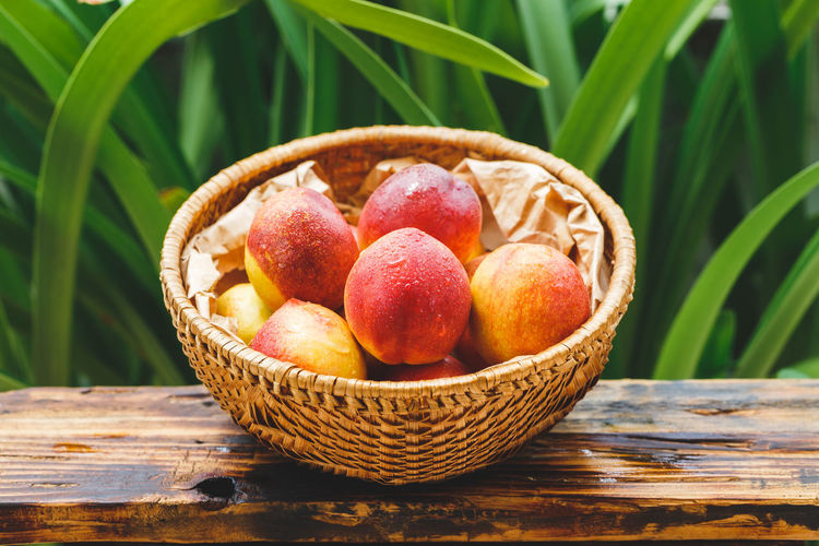 High angle view of wet peaches in basket on wooden table against plants