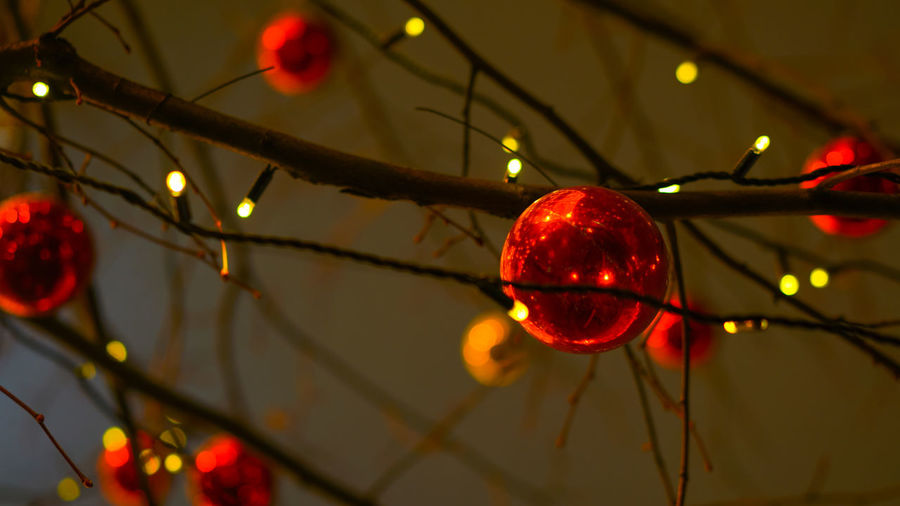 Low angle view of christmas lights hanging on tree