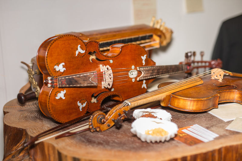 Baroque wooden violin on a tree trunk near other instruments.