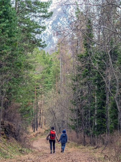Rear view of woman walking in forest
