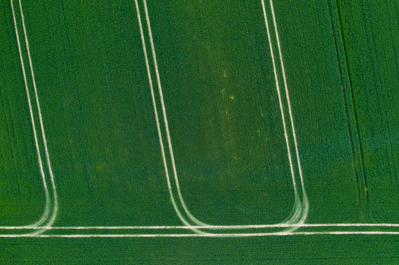 High angle view of green field 