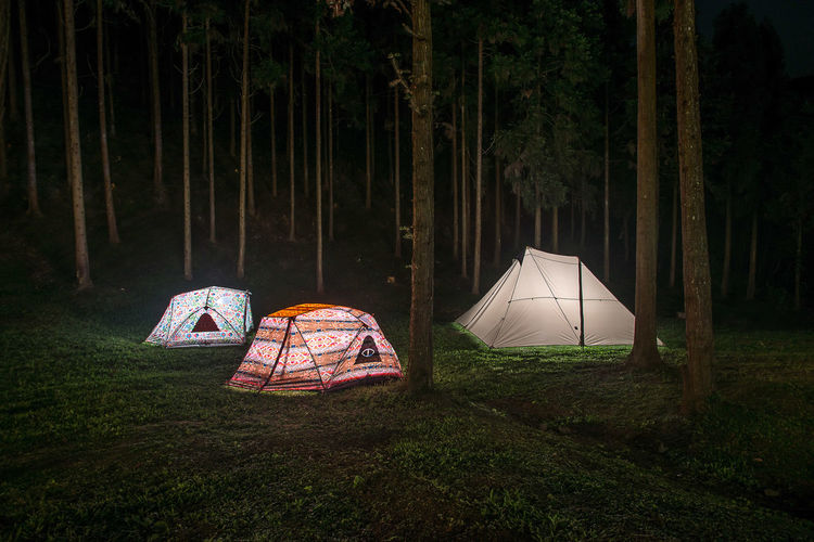Tent and trees in field at night