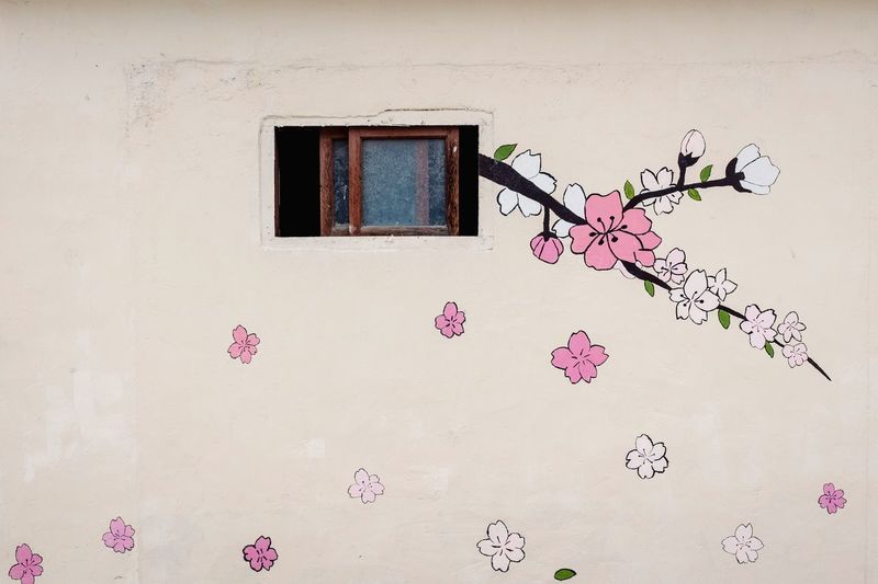 Pink flowers on window