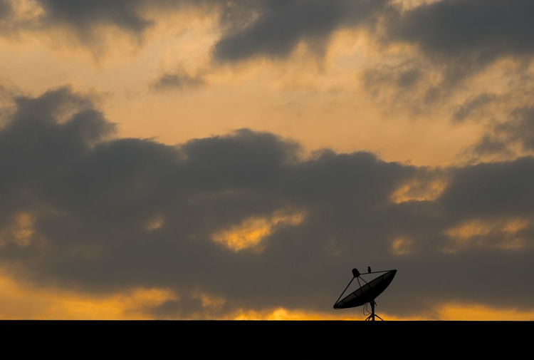 Silhouette bird against sky at sunset