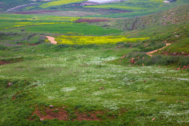 High angle view of field
