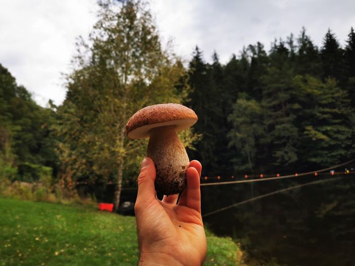 Mushroom held in his hand facing the sky 