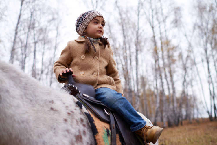 Cute little girl sitting on pony