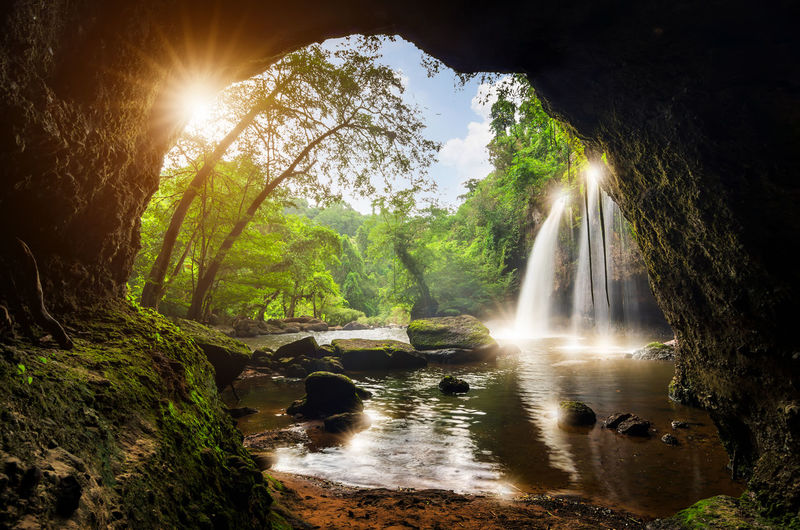 Scenic view of waterfall against trees in forest