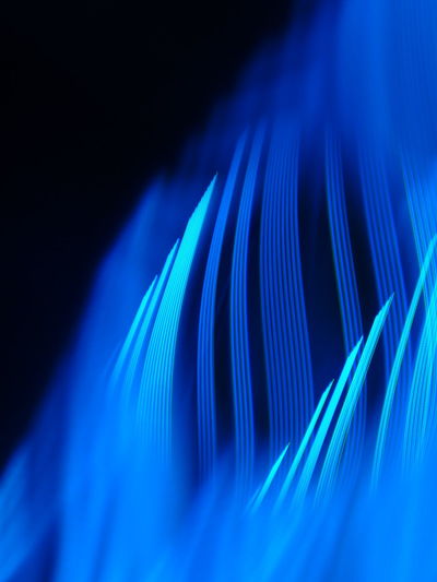 Close-up of blue light against black background