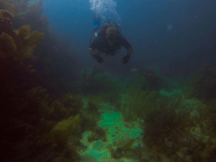 Man diving in sea