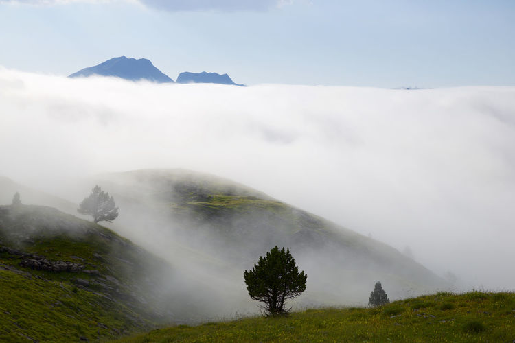 Mist in candanchu, pyrenees, canfranc valley in spain.