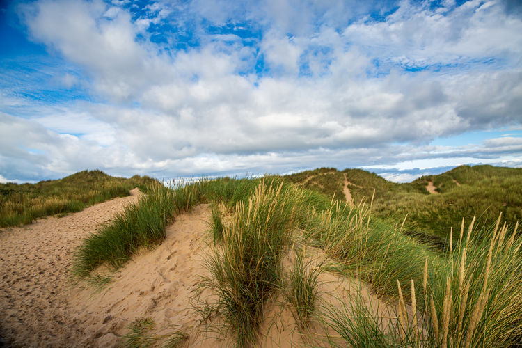 Looking out over marram grass covered sand dunes, at formby in merseyside