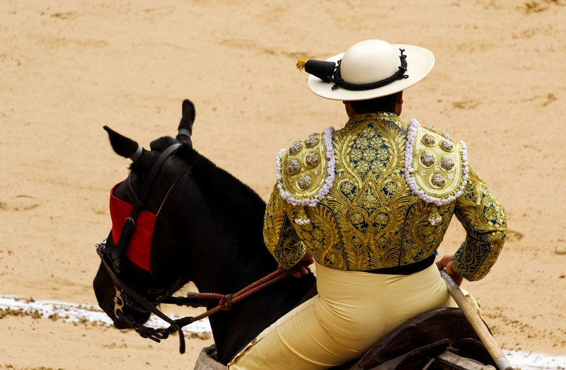 Rear view of person riding a horse 