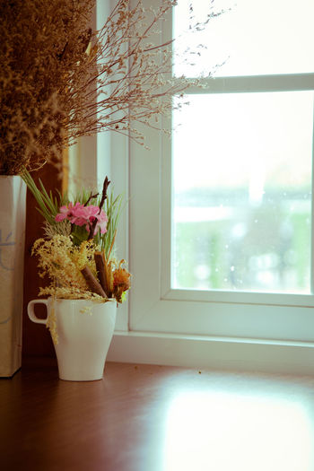 Close-up of potted plant on table by window