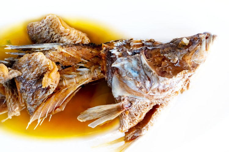 Close-up of fish on plate against white background
