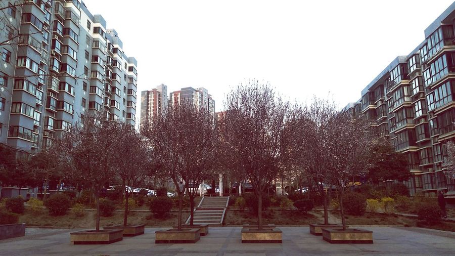 Panoramic shot of trees and buildings against sky