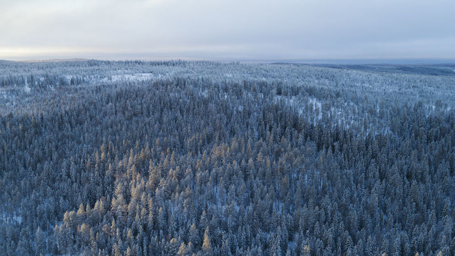 Scenic view of land against sky during winter