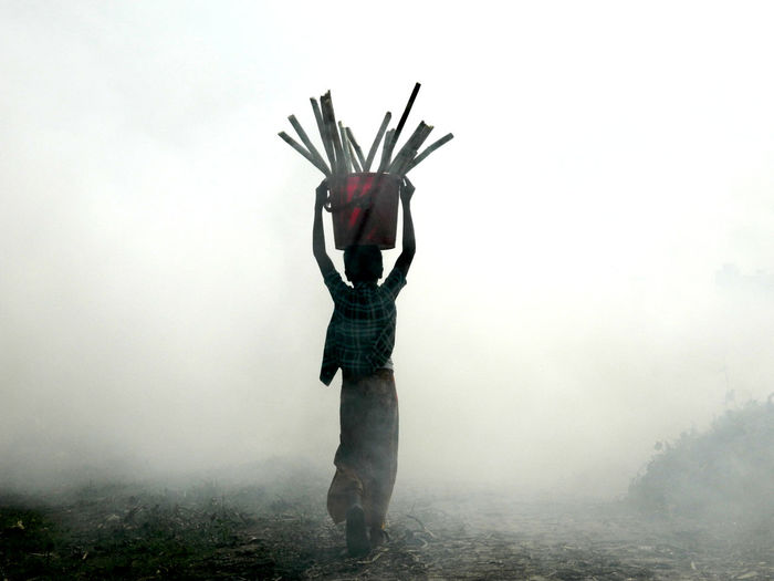 Boy carrying wood in bucket while walking on field during foggy weather