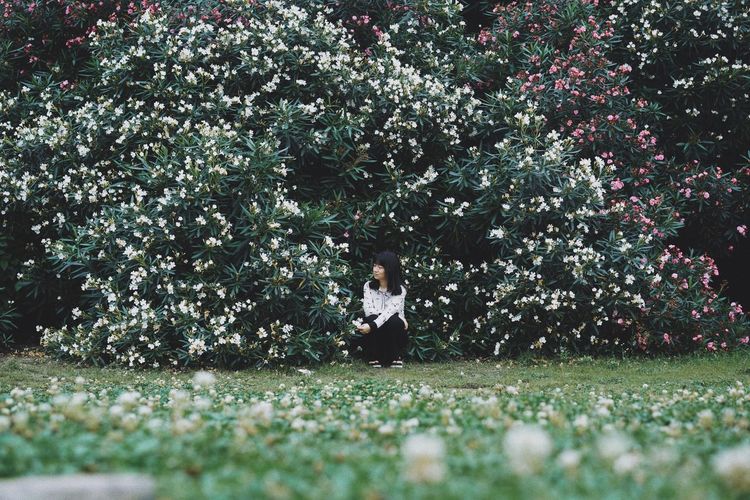Woman sitting on field against flowering plants